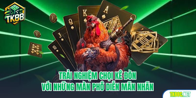 Trải nghiệm chọi kê đòn với những màn phô diễn mãn nhãn