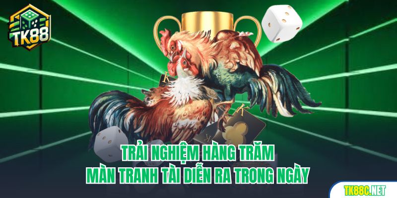 Trải nghiệm hàng trăm màn tranh tài diễn ra trong ngày